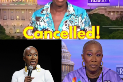 MSNBC’s explosive shakeup: Joy Reid OUT, and a shocking new host takes over!