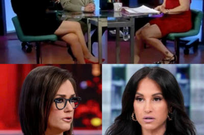 A leaked video capturing a heated argument between Emily Compagno and a Fox News…