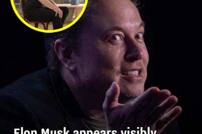 Elon Musk appears visibly frustrated with journalist in incredibly awkward resurfaced interview