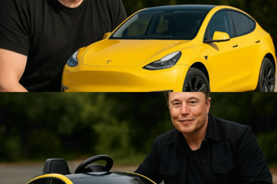 BREAKING NEWS: Elon Musk vows to deliver a Tesla under $2,000.00 by 2026