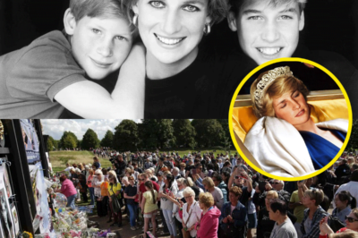 Princess Diana’s Tomb Opened After 27 Years And What They Found SHOCKED The Whole World!