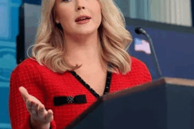 Robert De Niro Claims: Karoline Leavitt Is Not Qualified to Be a Role Model for Women