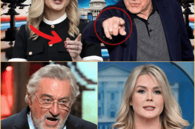 Robert De Niro Claims: Karoline Leavitt Is Not Qualified to Be a Role Model for Women, The most surprising thing is finally confirmed.